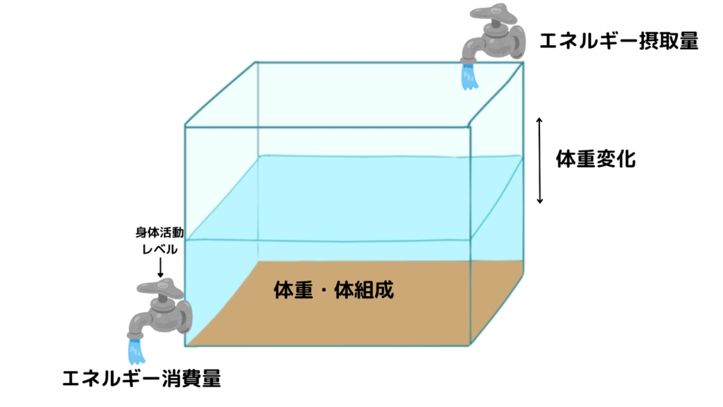 エネルギー出納バランス